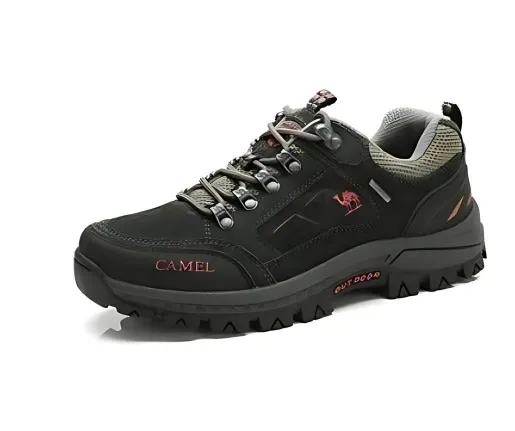 ﻿Explorer - Innovative Walking Shoes
